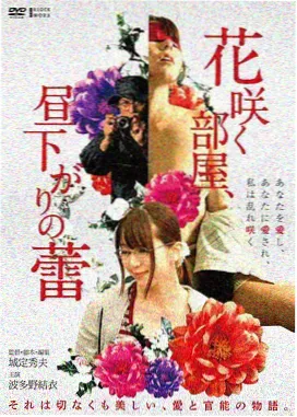夜航收藏夹片单封面